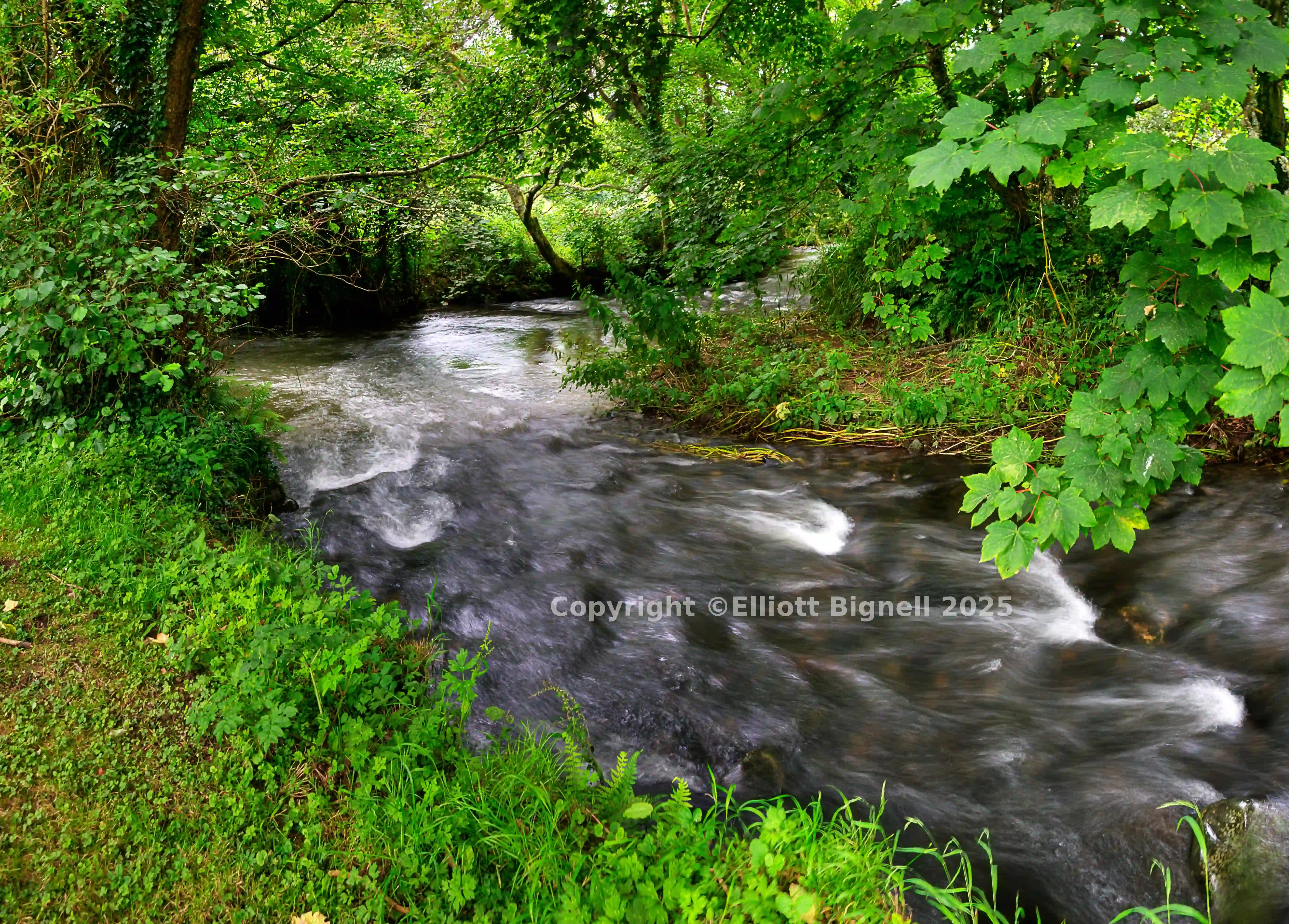 Combe Valley Brook.jpg